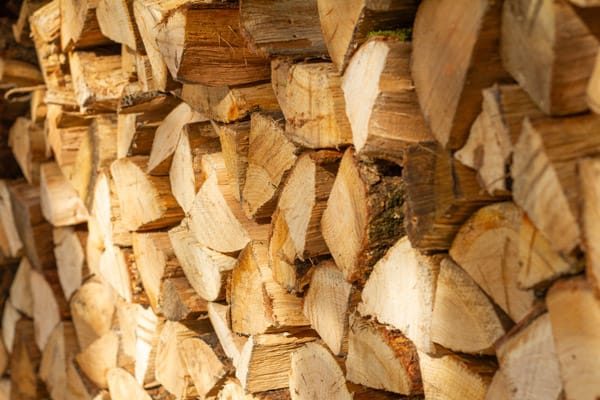 Hardwood Logs for Sale in Sunderland